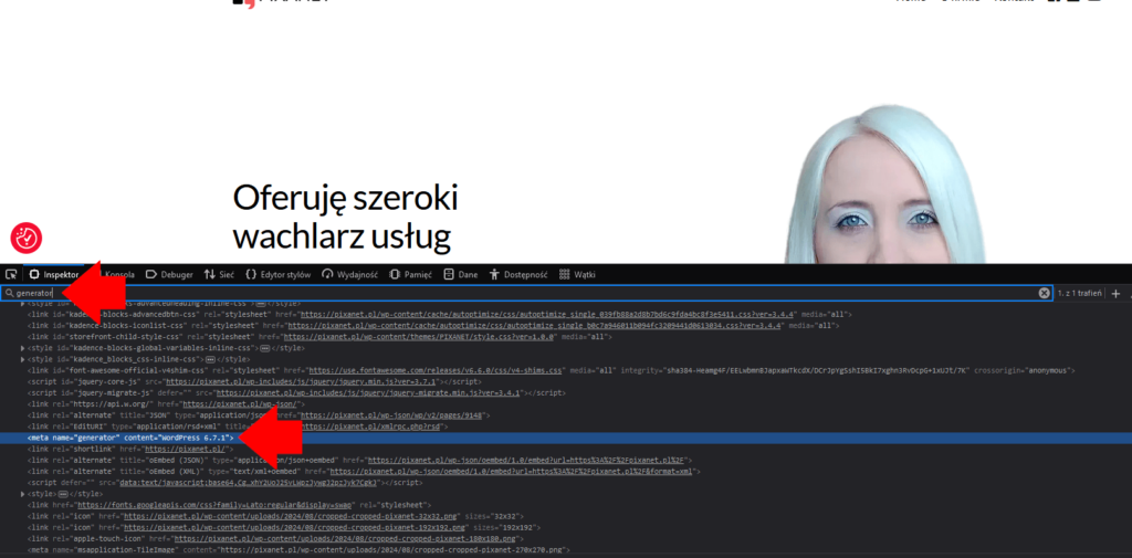 jak sprawdzić wersję wordpressa