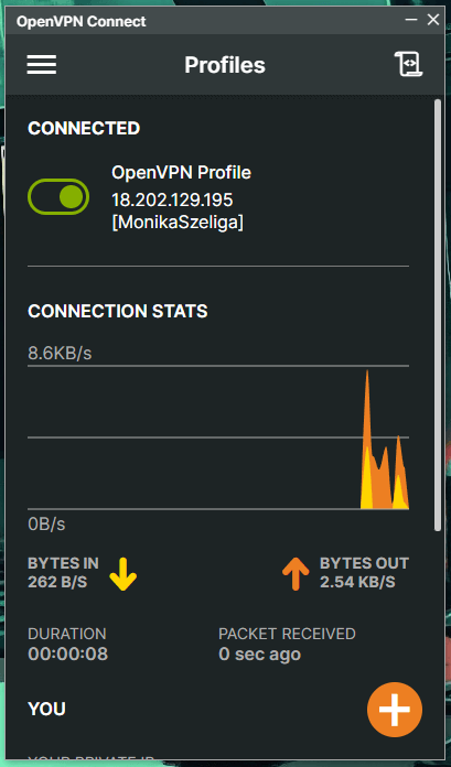 windows openvpn tryhackme