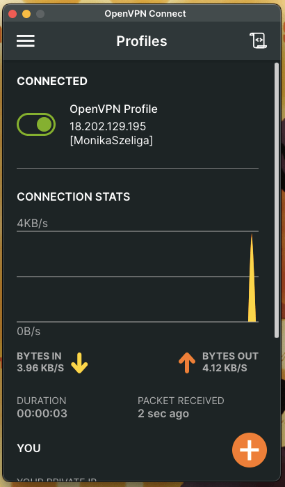jak zainstalować openvpn macos tryhackme
